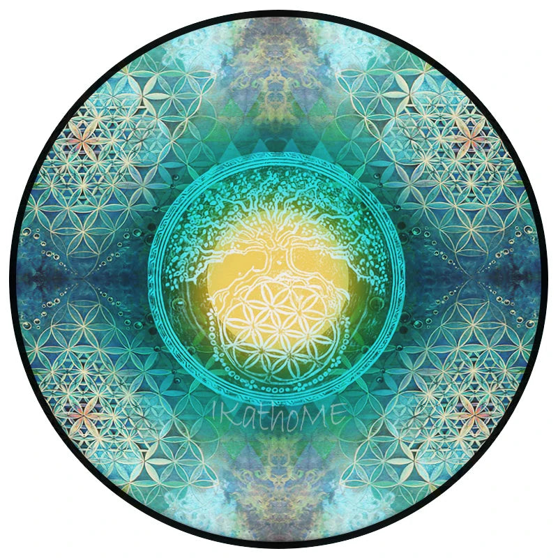 47906524299599|47906524397903|47906524496207|47906524594511